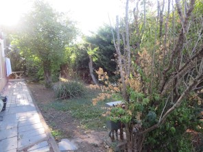 Jardín